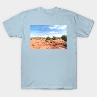 Desert scene T-Shirt